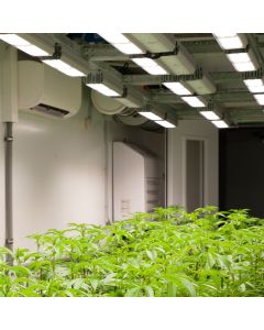 Indoor Agriculture Grow Room Dehumidification Unit