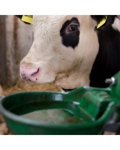 Low- or Zero-Energy Livestock Waterers